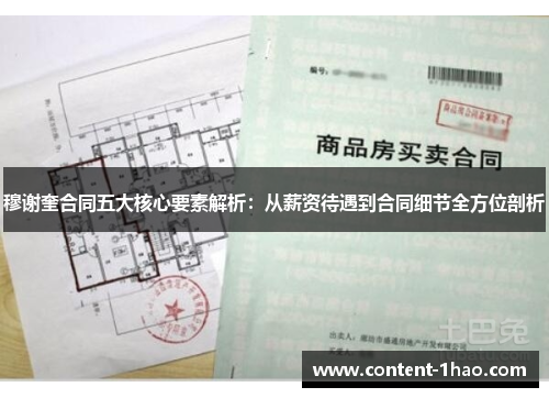 穆谢奎合同五大核心要素解析：从薪资待遇到合同细节全方位剖析
