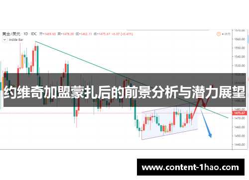 约维奇加盟蒙扎后的前景分析与潜力展望