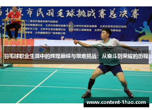 羽毛球职业生涯中的辉煌巅峰与艰难挑战：从奋斗到荣耀的历程