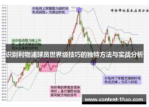 识别利物浦球员世界级技巧的独特方法与实战分析