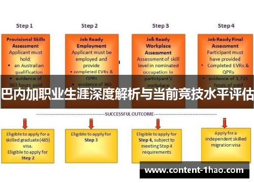 巴内加职业生涯深度解析与当前竞技水平评估