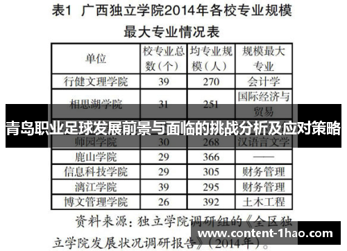 青岛职业足球发展前景与面临的挑战分析及应对策略
