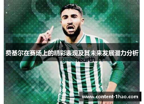 费基尔在赛场上的精彩表现及其未来发展潜力分析