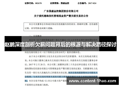 赵鹏深度剖析欠薪问题背后的根源与解决路径探讨 赵鹏深度剖析欠薪问题背后的根源与解决路径探讨